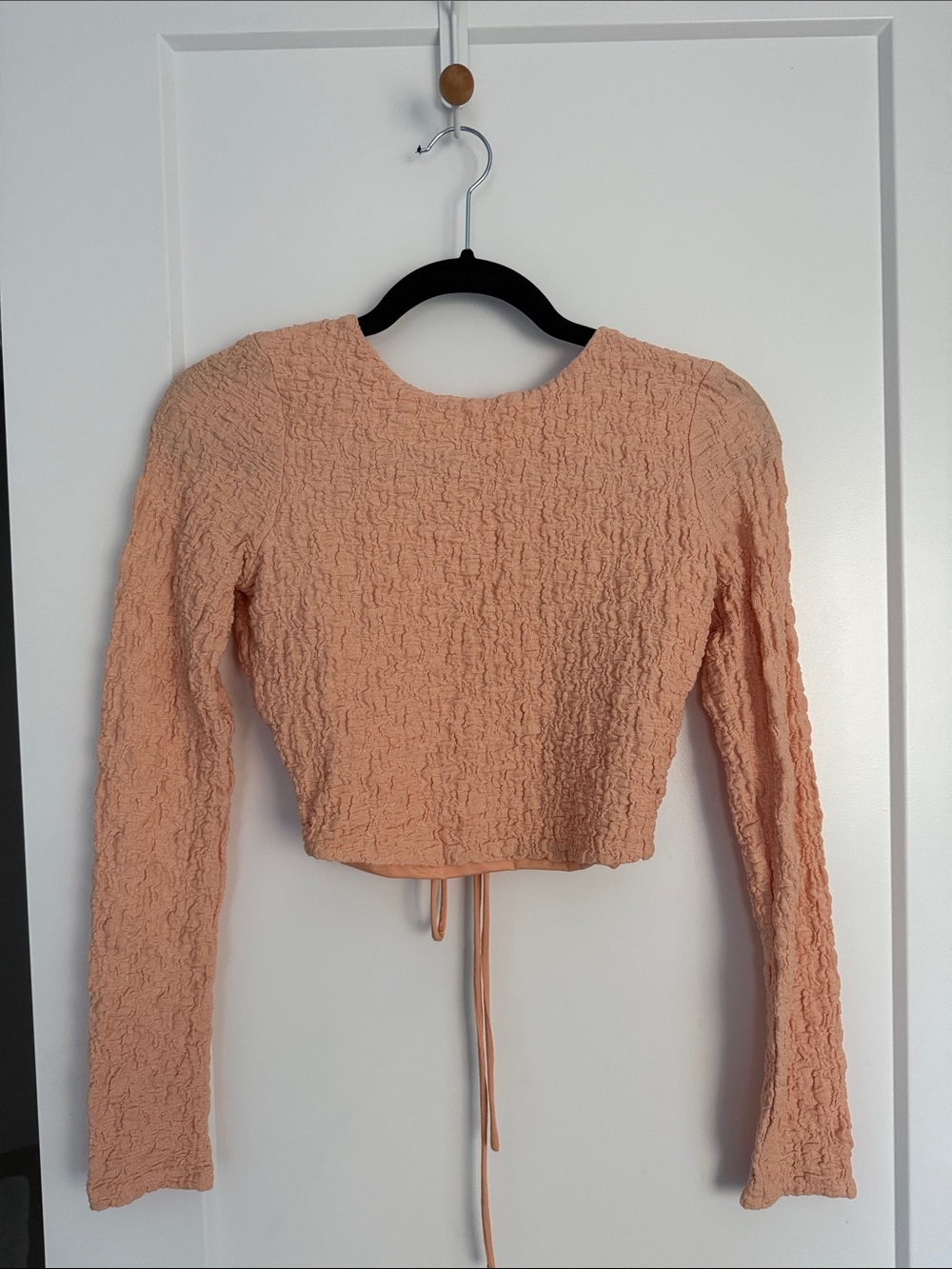 Astr Crinkle Peach Long-Sleeve Backless Crop Top